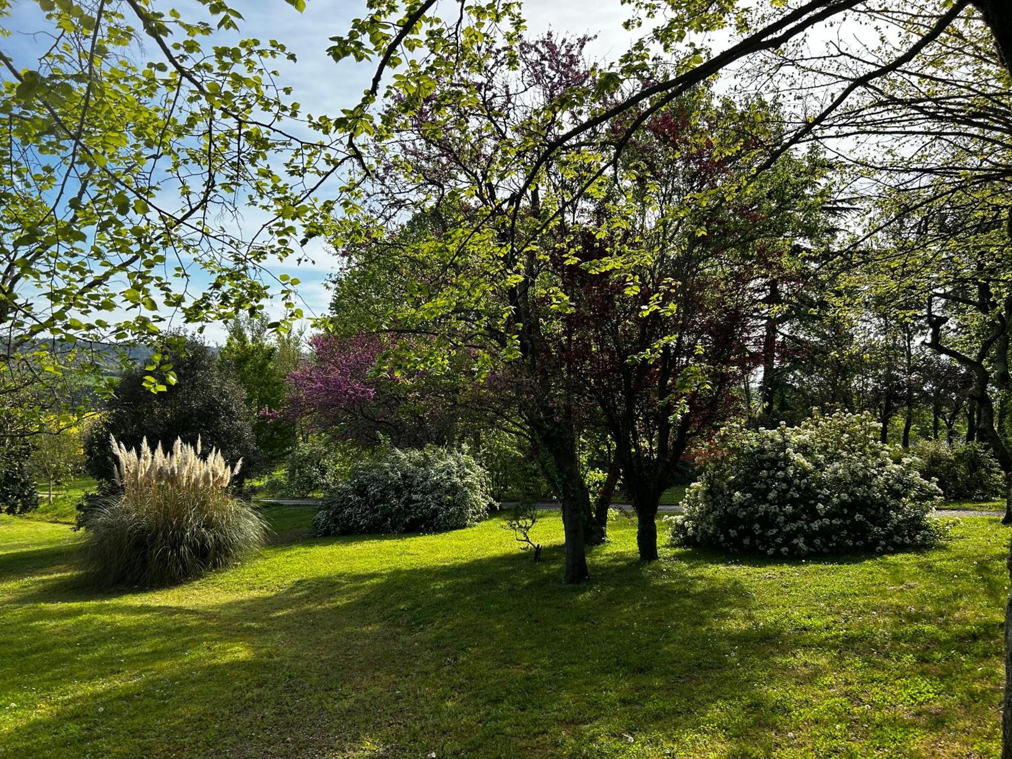 Au Bonheur Dupre B&B Montoire-sur-le-Loir Eksteriør bilde